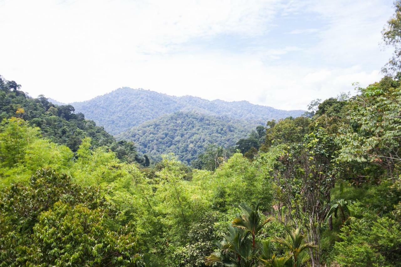 Puncak Rimba Hotel Bentong Eksteriør billede